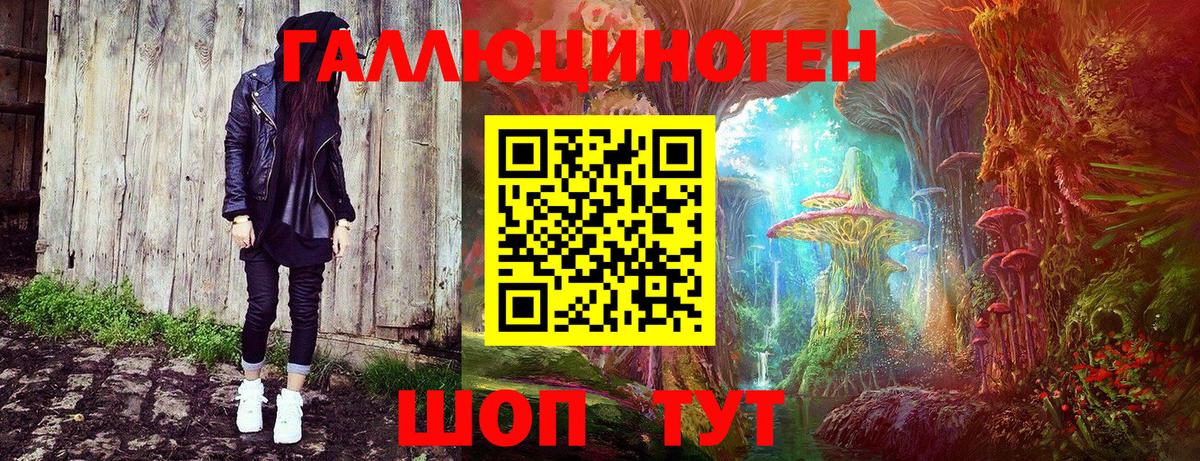 Галлюциногенные грибы GOLDEN TEACHER  Вход с VPN  Ставрополь  Галлюциногенные грибы Magic Shrooms 